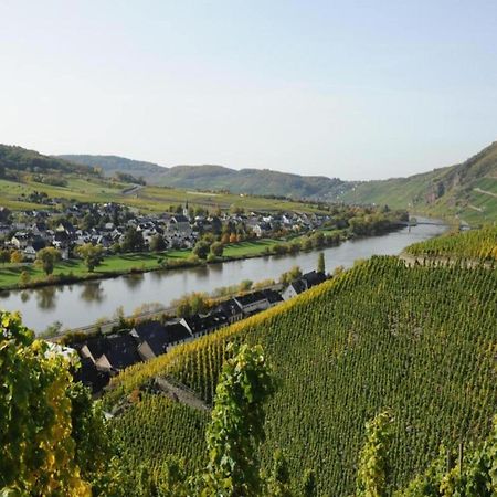 Sch Ne Wohnung In Der Moselregion Kinheim Exteriör bild