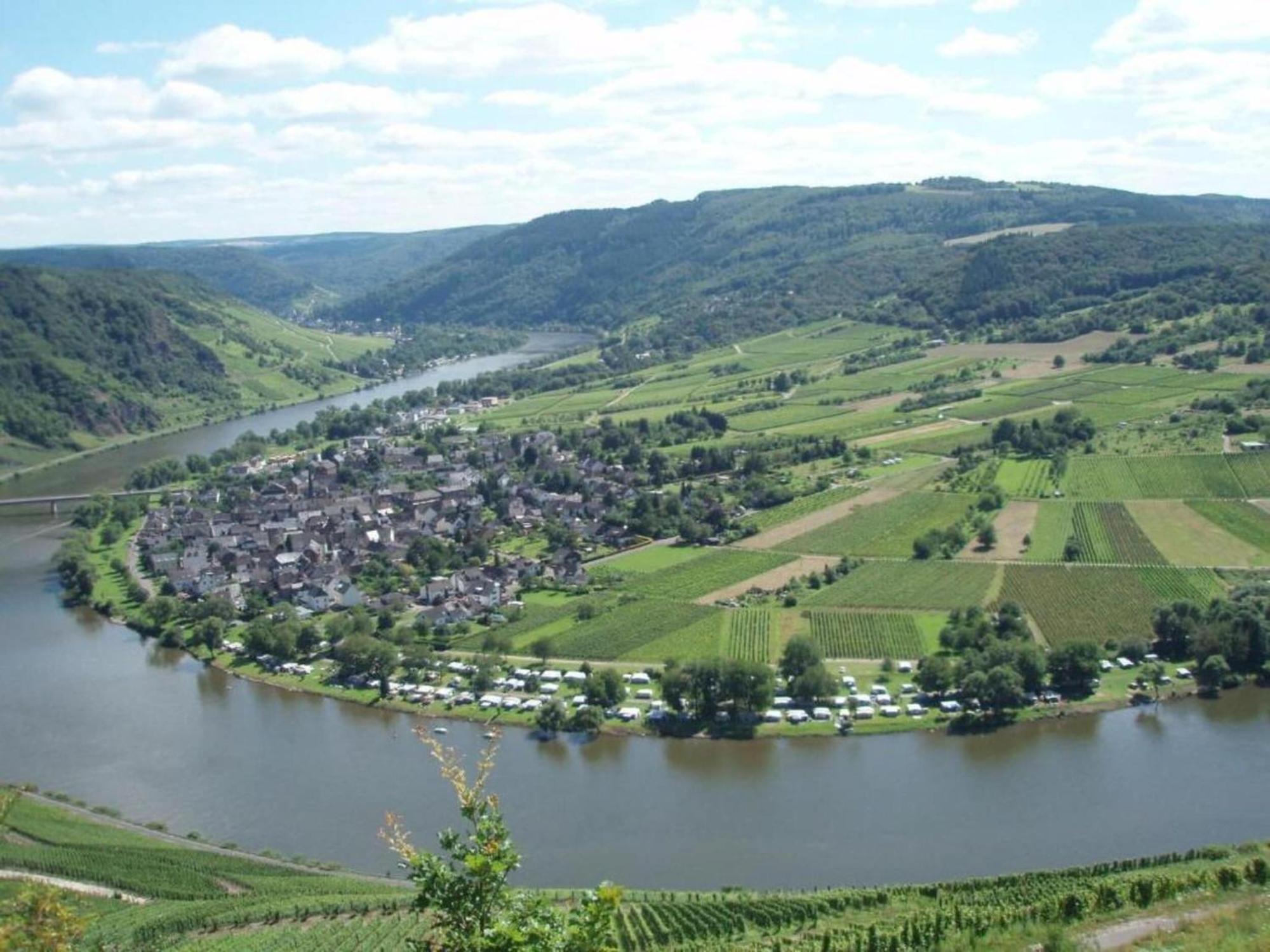 Sch Ne Wohnung In Der Moselregion Kinheim Exteriör bild