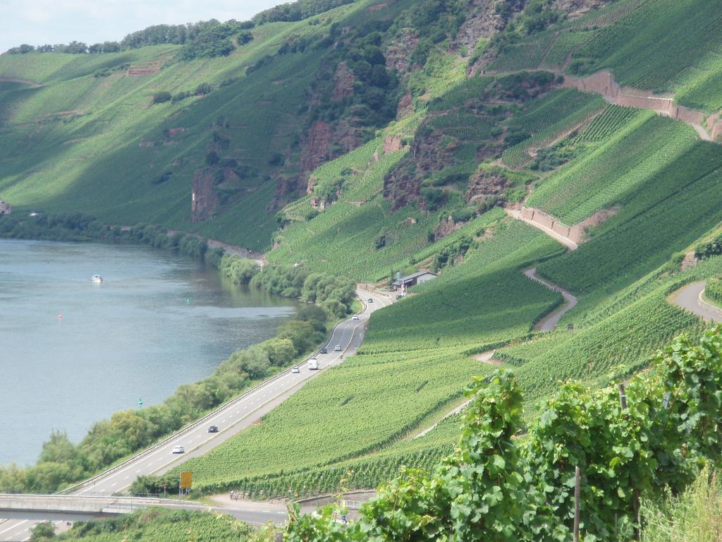Sch Ne Wohnung In Der Moselregion Kinheim Exteriör bild