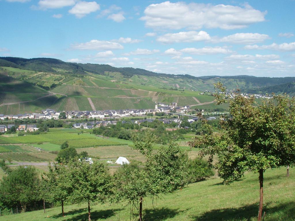 Sch Ne Wohnung In Der Moselregion Kinheim Exteriör bild