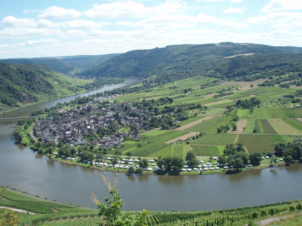 Sch Ne Wohnung In Der Moselregion Kinheim Exteriör bild